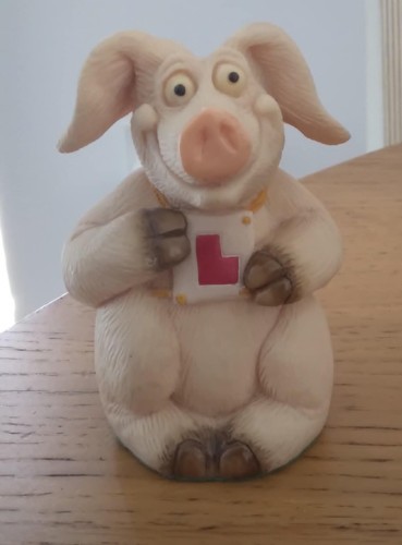Piggin learners 1996 - learners, david