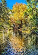 Wall Art "Autumn reflection" Prague Czech Republic A4 Print