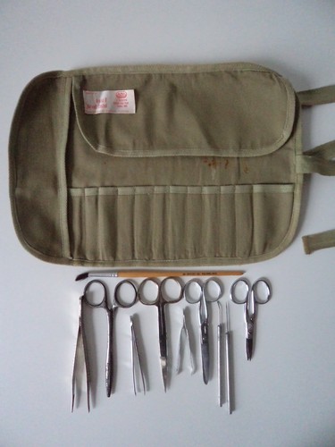 Vintage 1960s school biology - school,