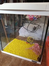 Tetra Fish Tank Aqarium