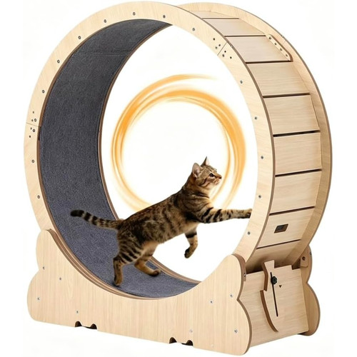 4in cat exercise wheel - exercise,