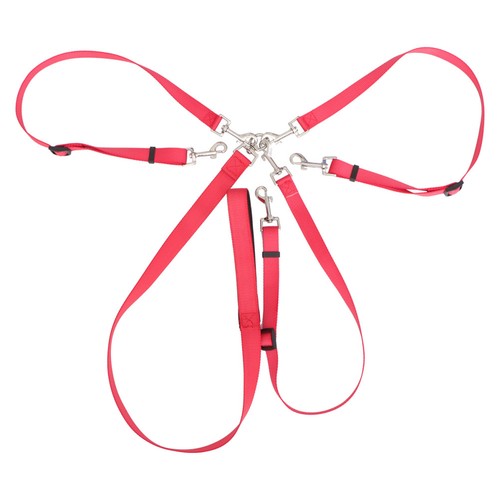 Adjustable red durable dog - durable,