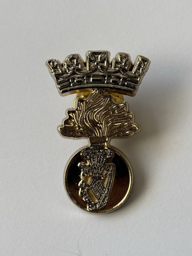 Royal irish fusiliers pin - royal,