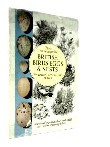 British birds eggs - and,