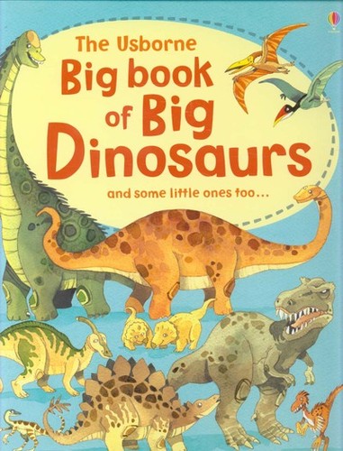 The usborne big - book, of