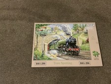HOP House Of Puzzles Train Spotting BIG 250 Large Piece Jigsaw Puzzle