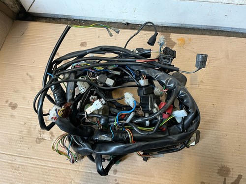 Aprilia rsv1000 tuono - tuono, wiring