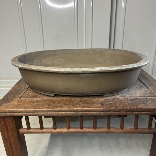 Vintage japanese bonsai - vintage,