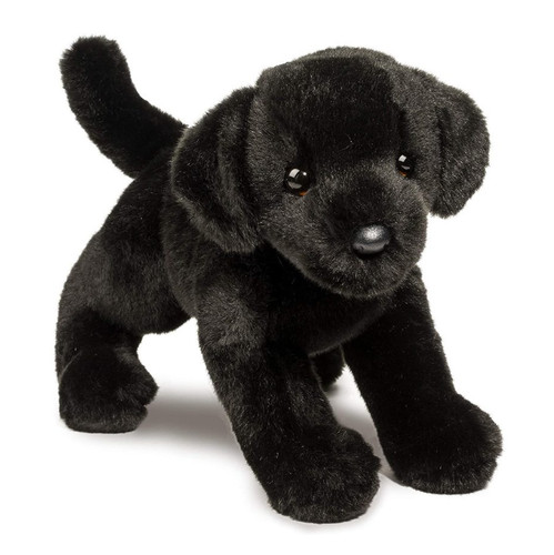 Douglas dog brewster black lab - brewster,