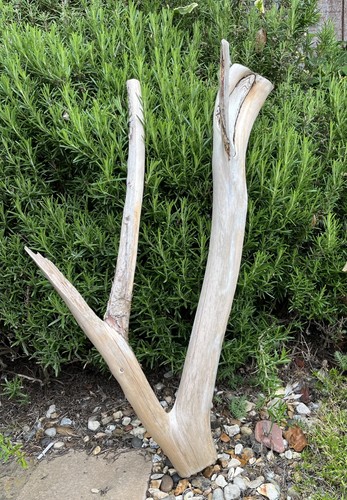 Large weathered character - large,