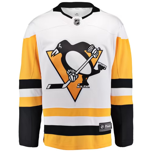 Pittsburgh penguins nhl ice - pittsburgh,