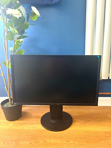 Eizo flexscan 24in - flexscan,