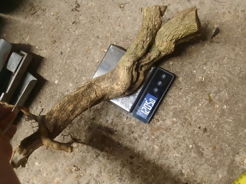 English box wood for turning - box,