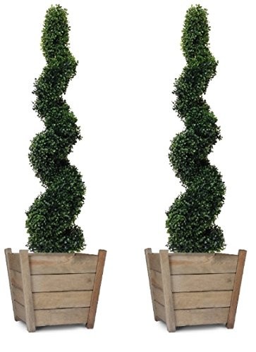 Artificial spiral boxwood - 2x,