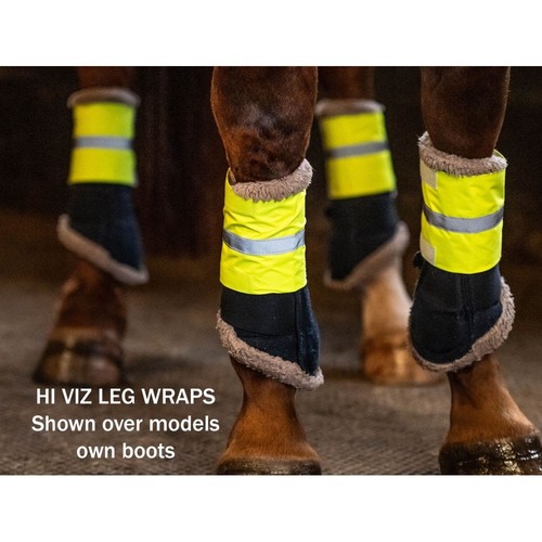 Ruggles viz leg arm - viz, bands