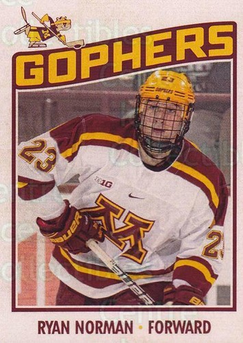 2018 minnesota golden - 2018-19,