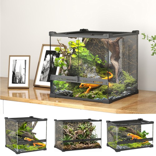 Glass terrarium with stone - with,
