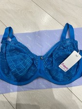 Freya Electric Blur 36F