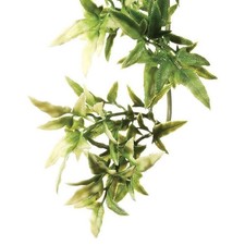 Exo Terra Reptile Decor
