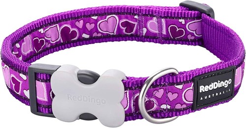 Red dingo breezy love purple - red,