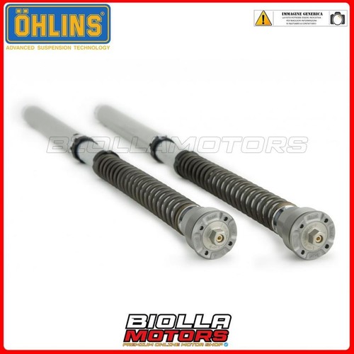 Fgk 242 fork cartridge - fgk, ohlins