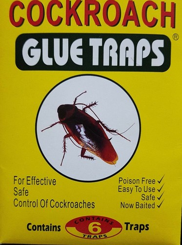 Cockroach glue traps easy - cockroach, safe