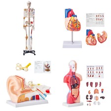 VEVOR Anatom Human Model Heart/Body Teaching Model 1:1 Life Size 2/15/3/9 Parts