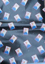 *NOS* Athena Poster 89/2061