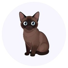 24 x 'Cartoon Burmese Cat'