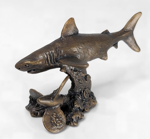 Solid bronze great white - solid,