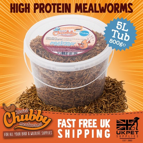 Dried mealworms wild bird food - mealworms,
