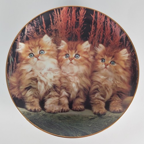 Danbury mint from purrfect - mint,