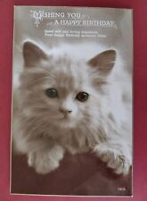 Vintage Cat Postcard, Beautiful White Persian Kitten, Real Photo