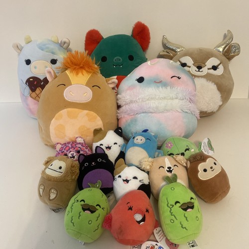 Huge bundle squishmallows - huge,