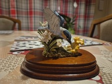 The Leonardo Collection