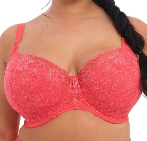 Elomi brianna padded - elomi, uw