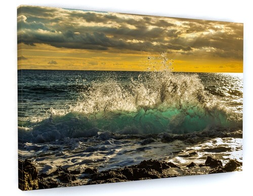 Beach sea waves seascape - waves,