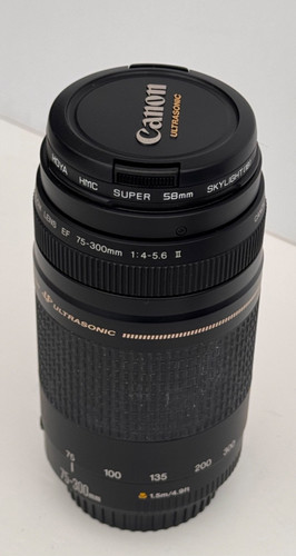 Canon 300mm 5 6 ii - 75-300mm, f/4-5.6