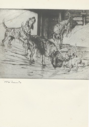 Sporting dogs print 1938 - print,