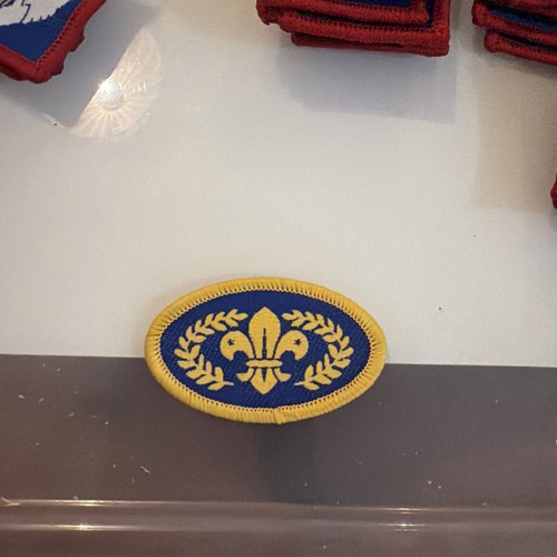 Chief scout gold - scout,