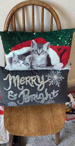 Christmas cat decorative - christmas,