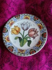 Small But Beautiful Polychrome