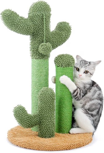 Pawz road cat - pawz, scratching