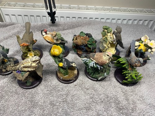 Oiseaux de collection - 10,