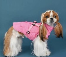 Puppia Wilkes Waterproof Choke