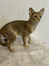   Country Artists Bengal Tabby