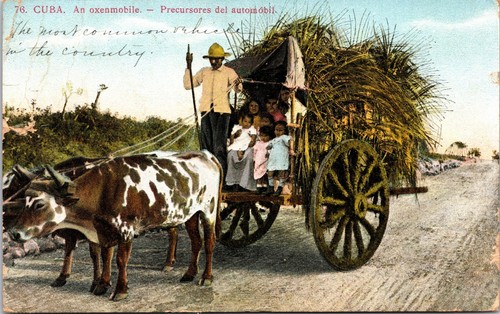 Cuba c1900s oxenmobile - oxenmobile, &