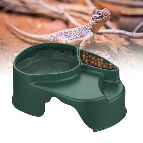 Reptile hide boxes habitat - reptile,