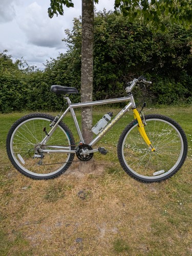 Vintage retro marin bobcat - vintage,