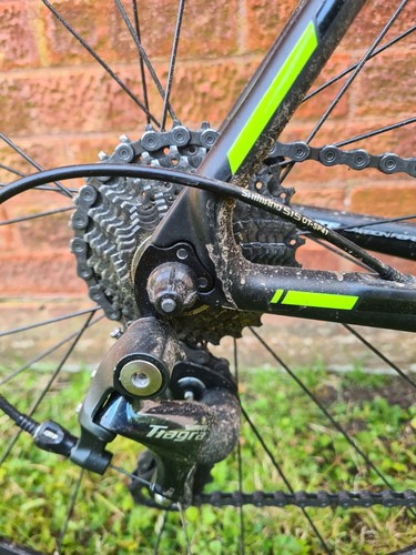 Ribble sportive carbon fibre - sportive,